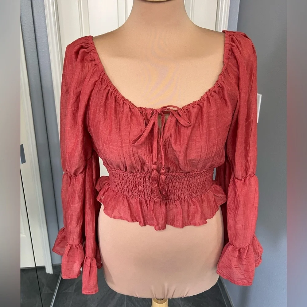 Hint of Blush Crop‎ Peasant Flare Ruffle Sleeve Boho Top